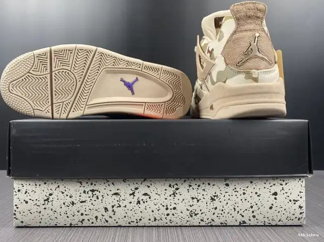 Cheap TBkick 4 Jordan May DJ1193-200 Camo Air x Aleali 0531